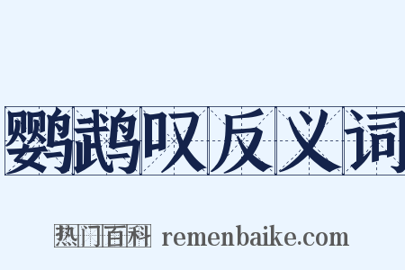 鹦鹉叹反义词是什么意思的图片